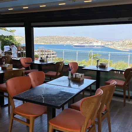 Aden Boutique Hotel *